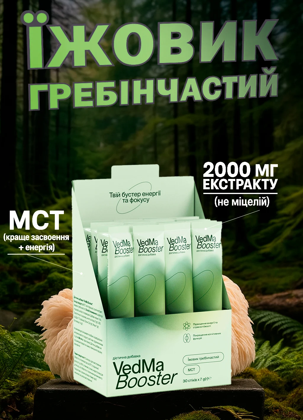 Їжовик гребінчастий