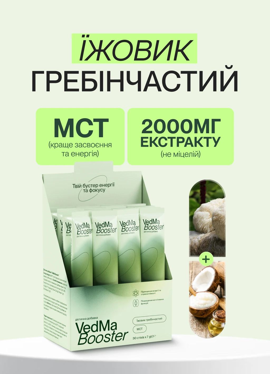 Їжовик гребінчастий